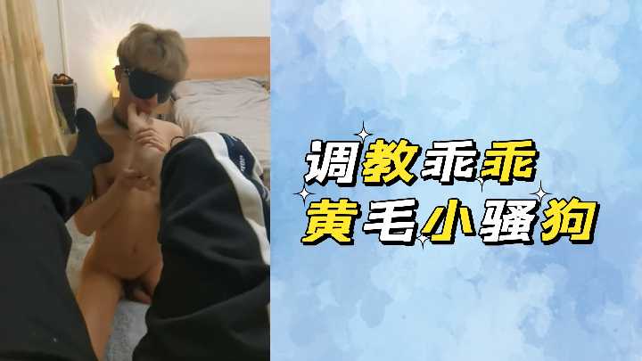 调教黄毛小骚狗:乖乖挨操还浪叫不停
